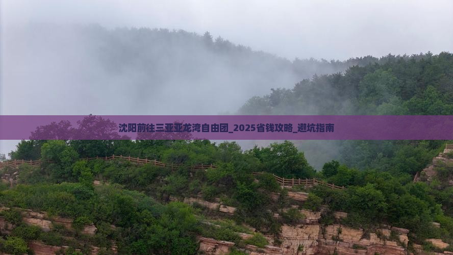 沈阳前往三亚亚龙湾自由团