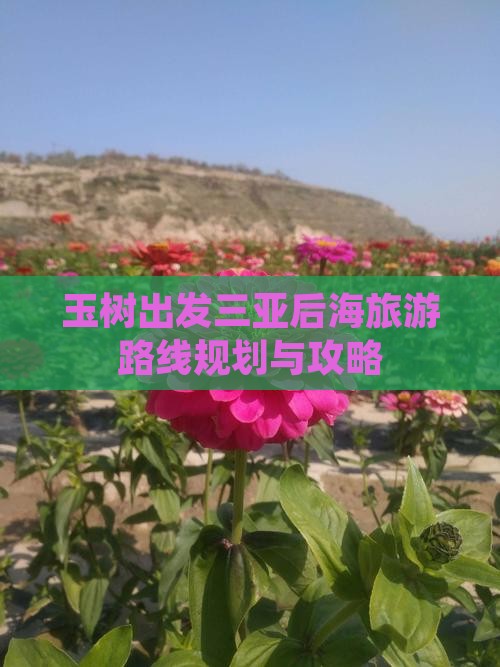 玉树出发三亚后海旅游