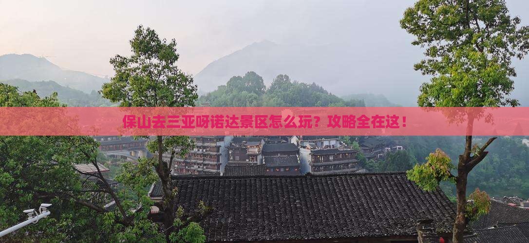 保山去三亚呀诺达景区攻略