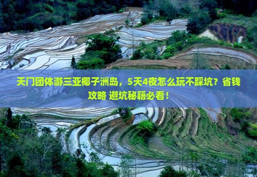 天门前往三亚椰子洲岛团体旅游