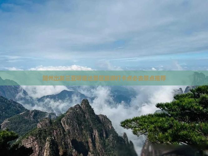随州出发三亚呀诺达景区旅游打卡点