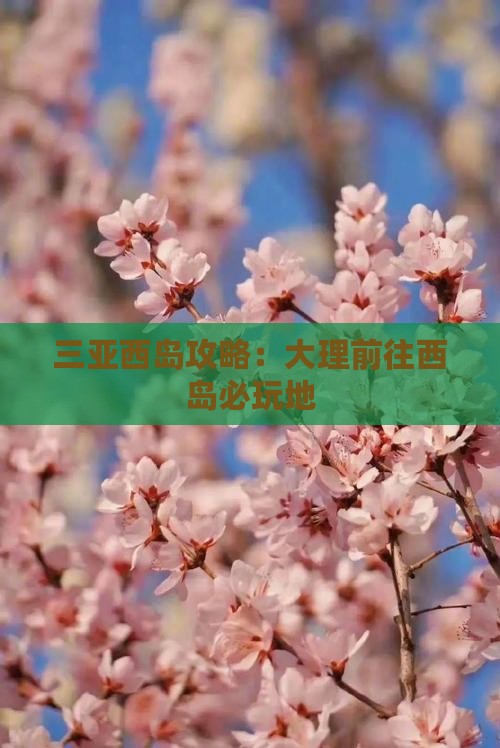 大理前往三亚西岛必玩地