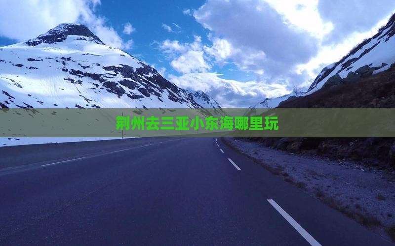 荆州去三亚小东海哪里玩