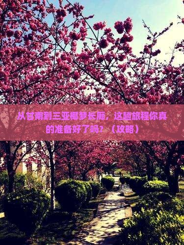 甘南去三亚椰梦长廊必玩地