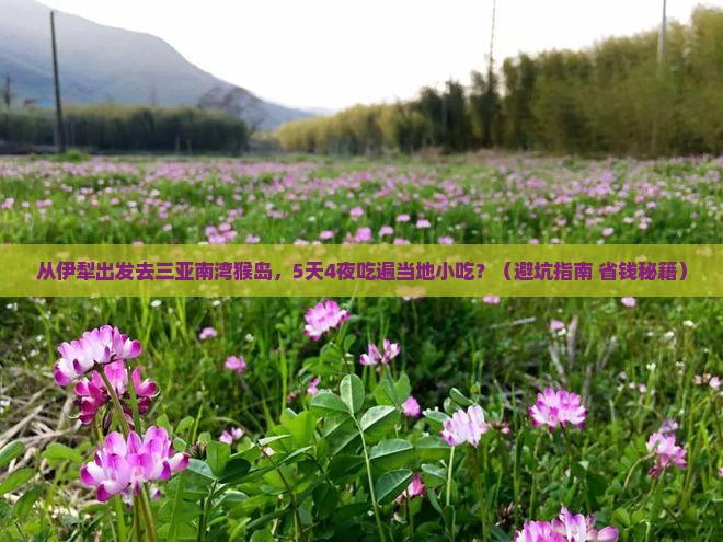 伊犁出发三亚南湾猴岛旅游小吃