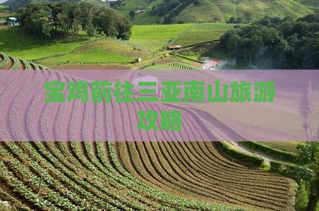 宝鸡前往三亚南山文化旅游区门票