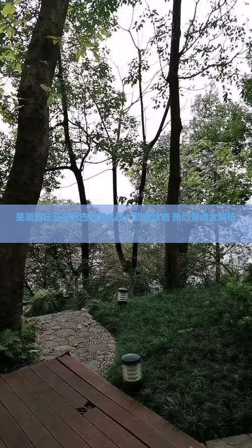 芜湖前往三亚崖洲古城旅行社