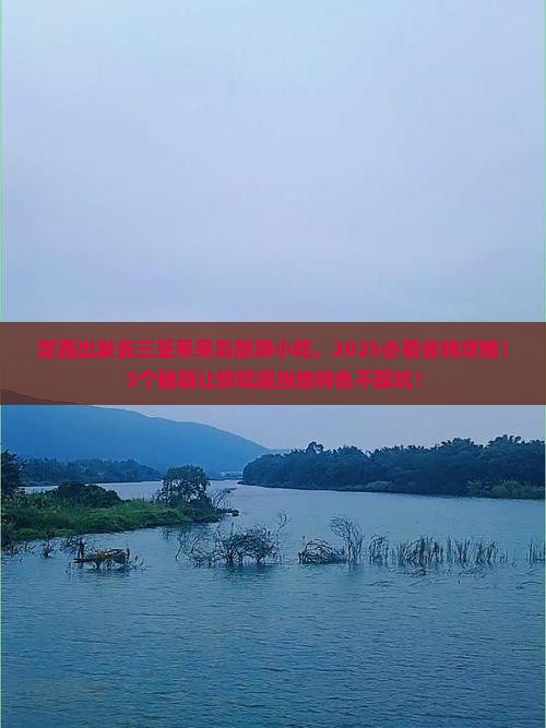定西去三亚呆呆岛旅游小吃