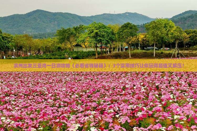 滨州出发三亚三亚湾一日游 滨州出发三亚三亚湾一日游