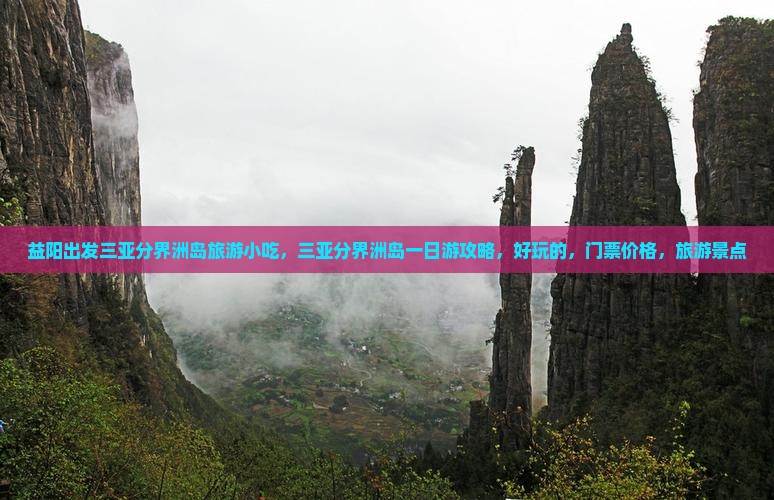 益阳出发三亚分界洲岛旅游小吃