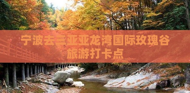 宁波去三亚亚龙湾国际玫瑰谷旅游打卡点