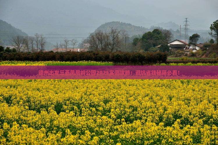 德州出发三亚凤凰岭公园攻略