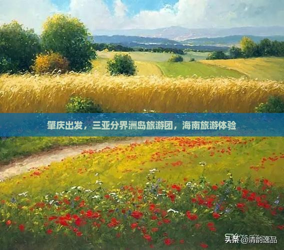 肇庆去三亚分界洲岛大型旅游团