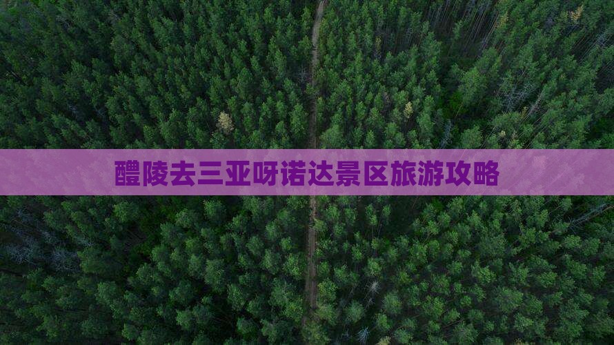 醴陵去三亚呀诺达景区个人游