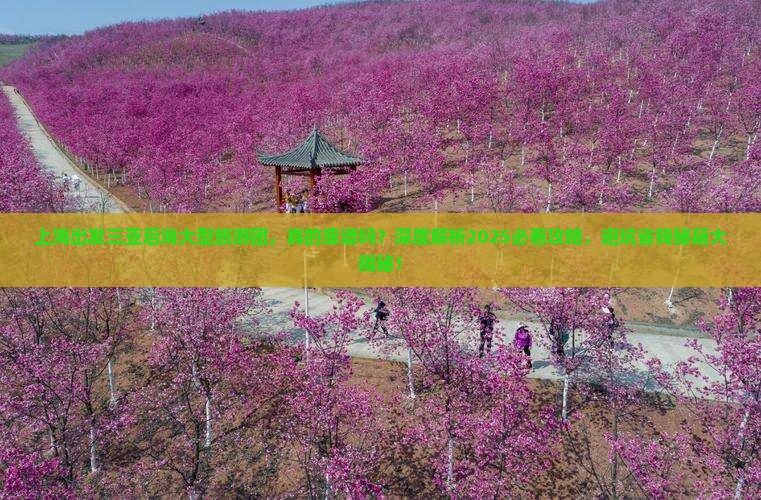 上海出发三亚后海大型旅游团
