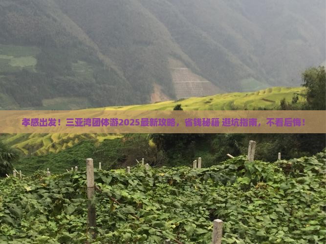 孝感前往三亚三亚湾团体旅游