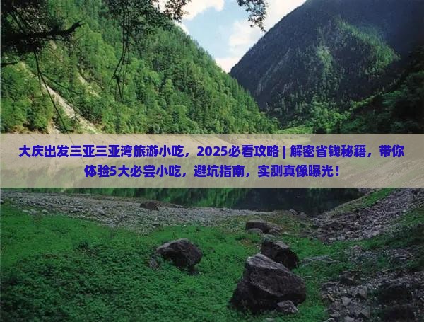 大庆出发三亚三亚湾旅游小吃