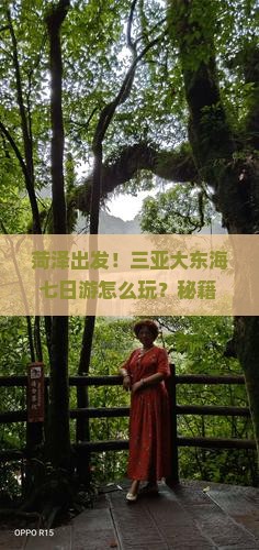 菏泽出发三亚大东海七日游