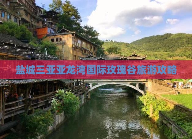 盐城去三亚亚龙湾国际玫瑰谷自由团
