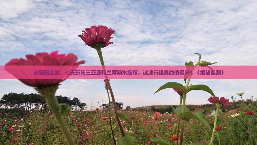 襄阳前往三亚亚特兰蒂斯水族馆七日游