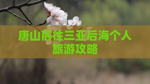 唐山前往三亚后海个人游