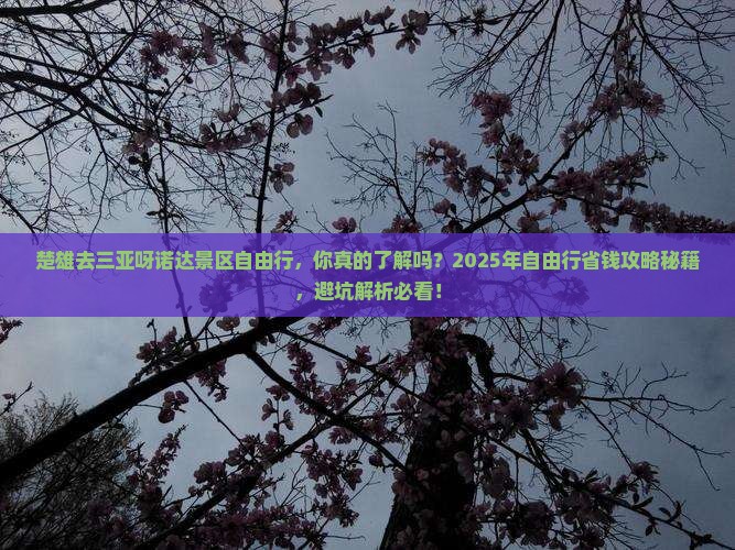 楚雄去三亚呀诺达景区自由行