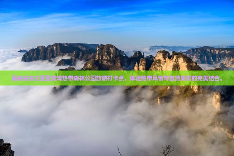 嘉峪关去三亚亚龙湾热带森林公园旅游打卡点