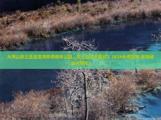 黄山前往三亚亚龙湾热带森林公园攻略