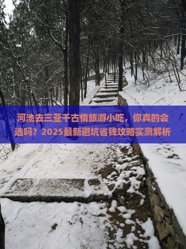 河池去三亚千古情旅游小吃