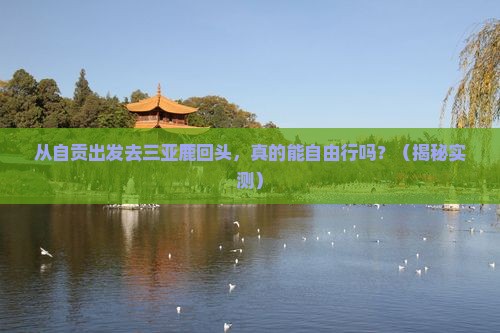 自贡前往三亚鹿回头自由行