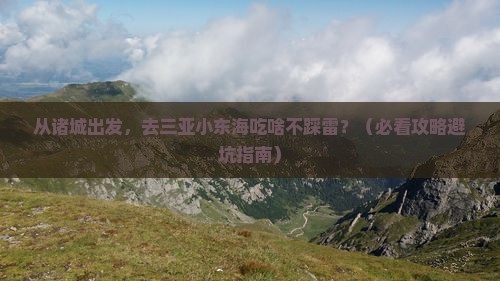诸城去三亚小东海旅游小吃