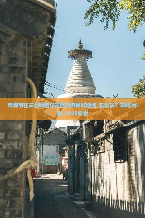 鹰潭前往三亚呀诺达景区旅游网红地点