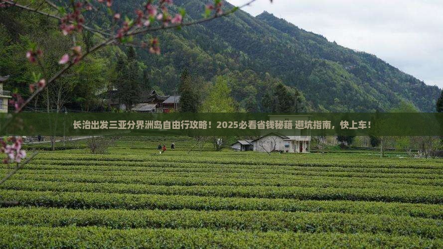 长治出发三亚分界洲岛自由行