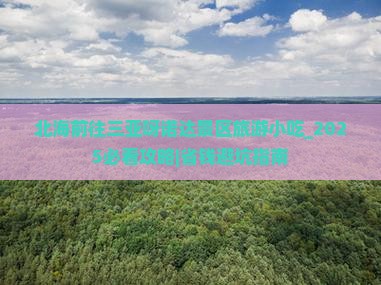 北海前往三亚呀诺达景区旅游小吃