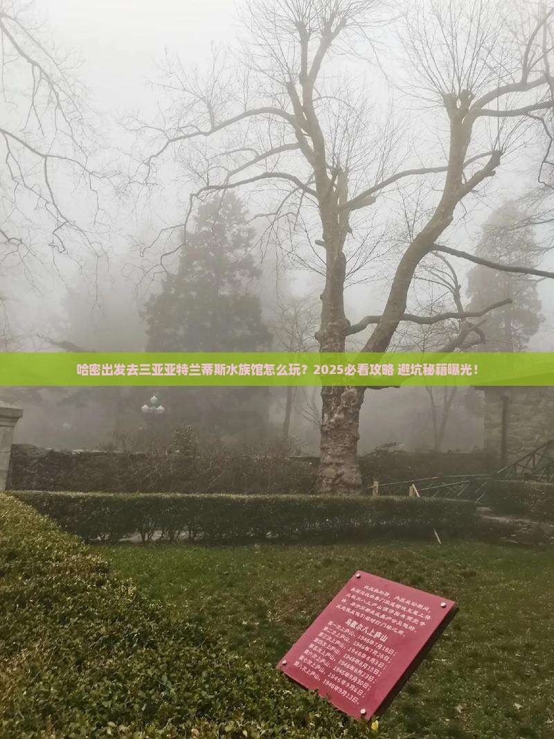 哈密前往三亚亚特兰蒂斯水族馆旅游