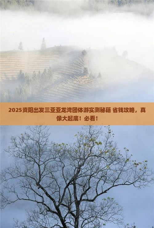 资阳出发三亚亚龙湾团体旅游