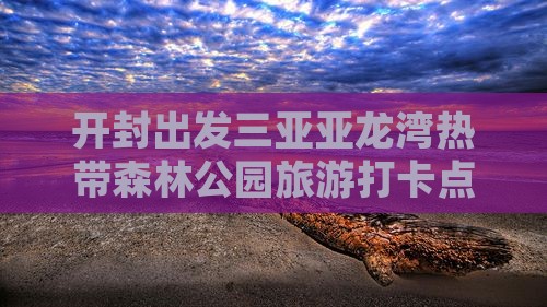 开封出发三亚亚龙湾热带森林公园旅游打卡点