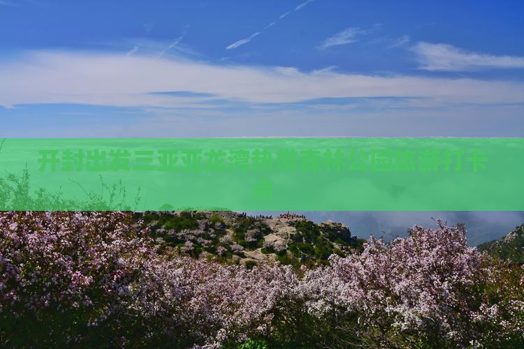 开封出发三亚亚龙湾热带森林公园旅游打卡点