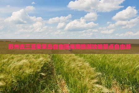 苏州去三亚呆呆岛自由团