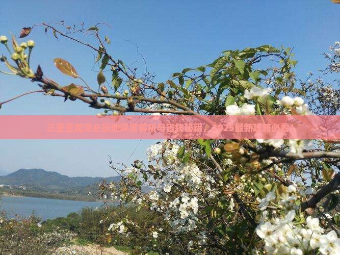 新余前往三亚亚龙湾必玩地