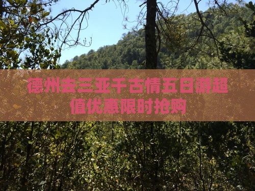 德州去三亚千古情五日游