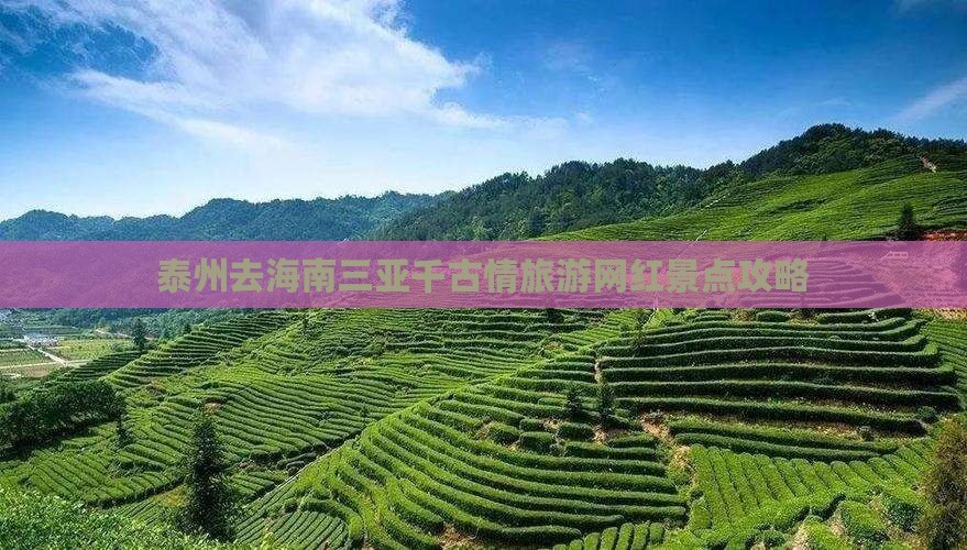 泰州去三亚千古情旅游网红地点