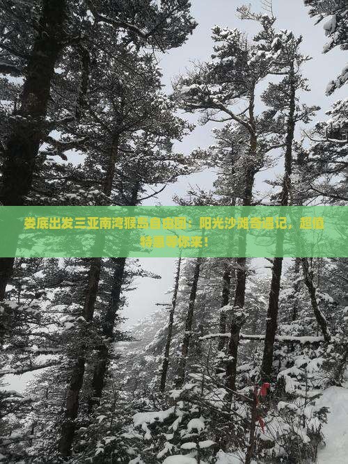 娄底出发三亚南湾猴岛自由团