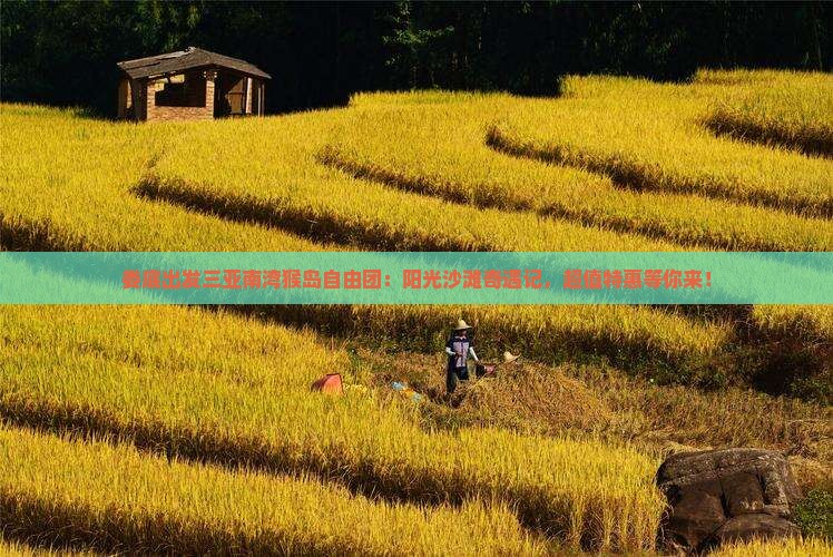娄底出发三亚南湾猴岛自由团