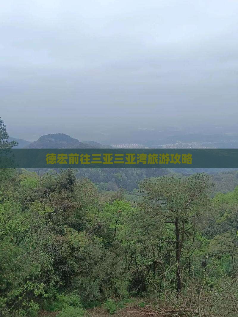 德宏前往三亚三亚湾自由团