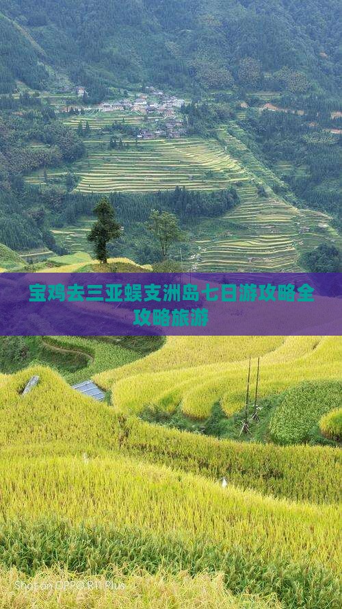 宝鸡去三亚蜈支洲岛七日游
