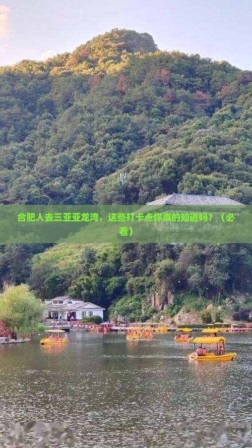 合肥去三亚亚龙湾旅游打卡点