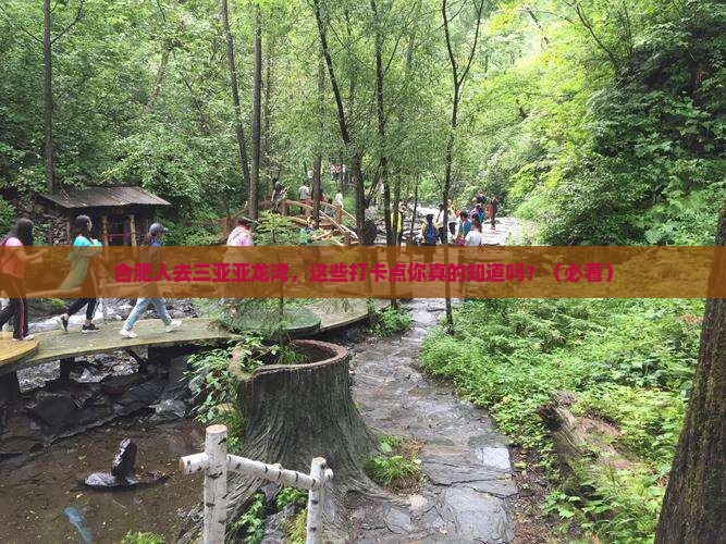 合肥去三亚亚龙湾旅游打卡点