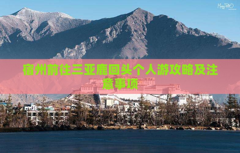 宿州前往三亚鹿回头个人游