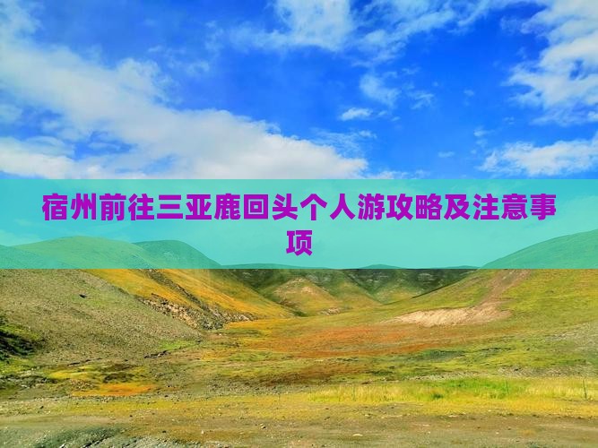 宿州前往三亚鹿回头个人游